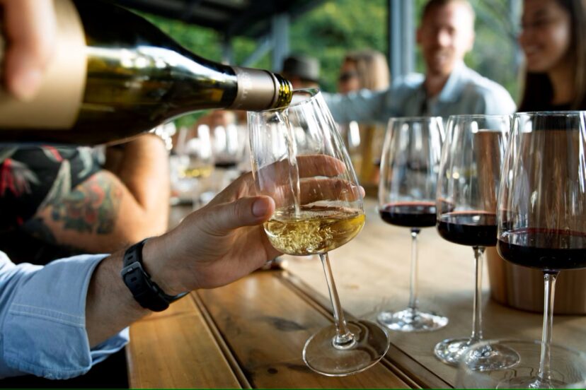 riedel the wine glass