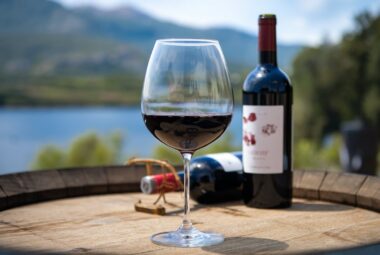best malbec wine